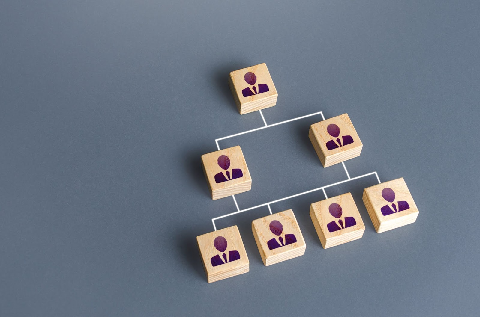 struktur organisasi bisnis